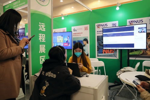 中國國際教育展在京舉行，跆拳道技術咨詢成亮點